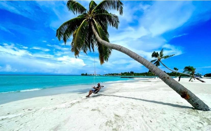 Guraidhoo Palm Inn Exterior photo